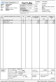 pCont - Program de contabilitate - Factura Standard